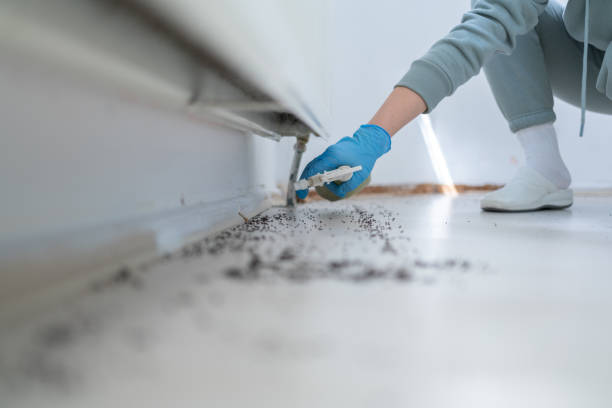 Best Residential Pest Control  in Potomac Park, CA